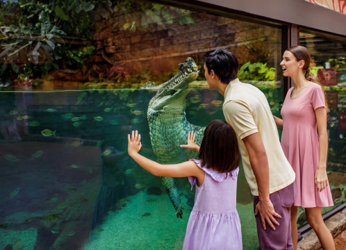 リバーワンダー